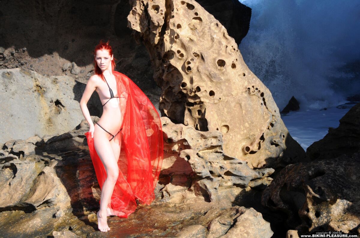 Encantadores pelirrojos Ariel Red on Rock