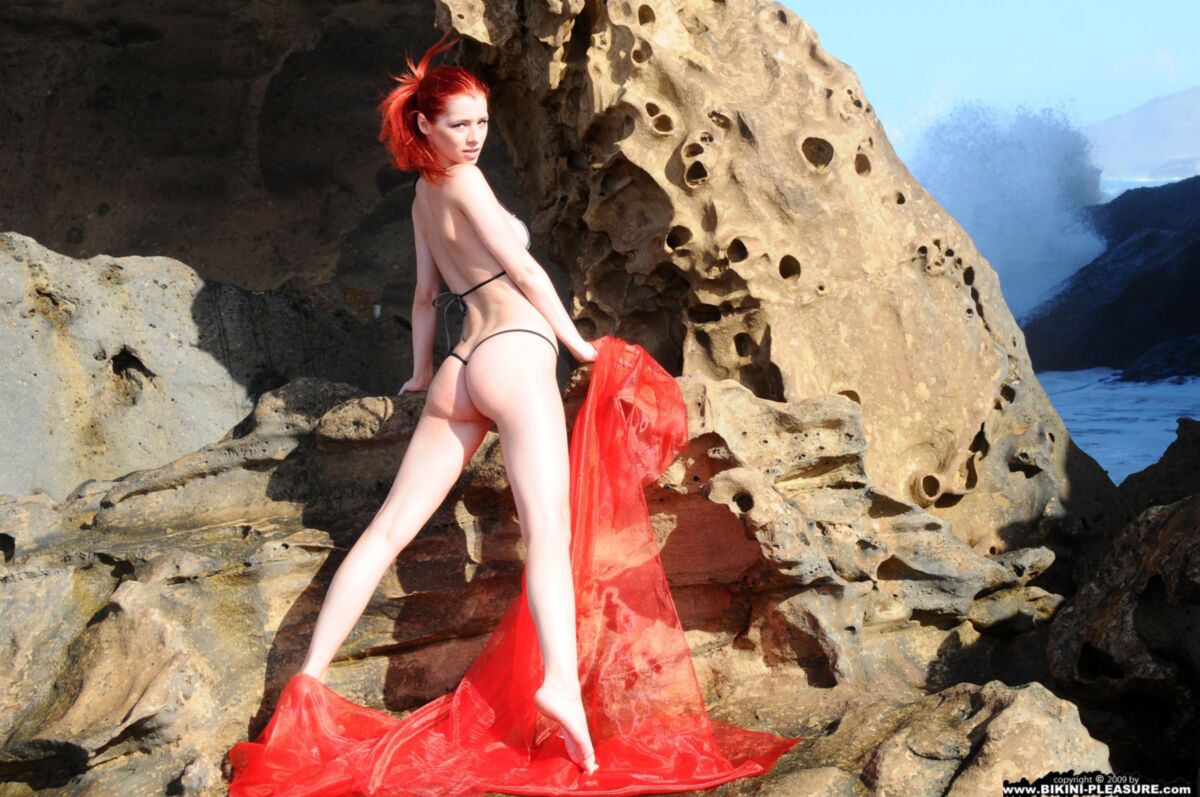 Encantadores pelirrojos Ariel Red on Rock