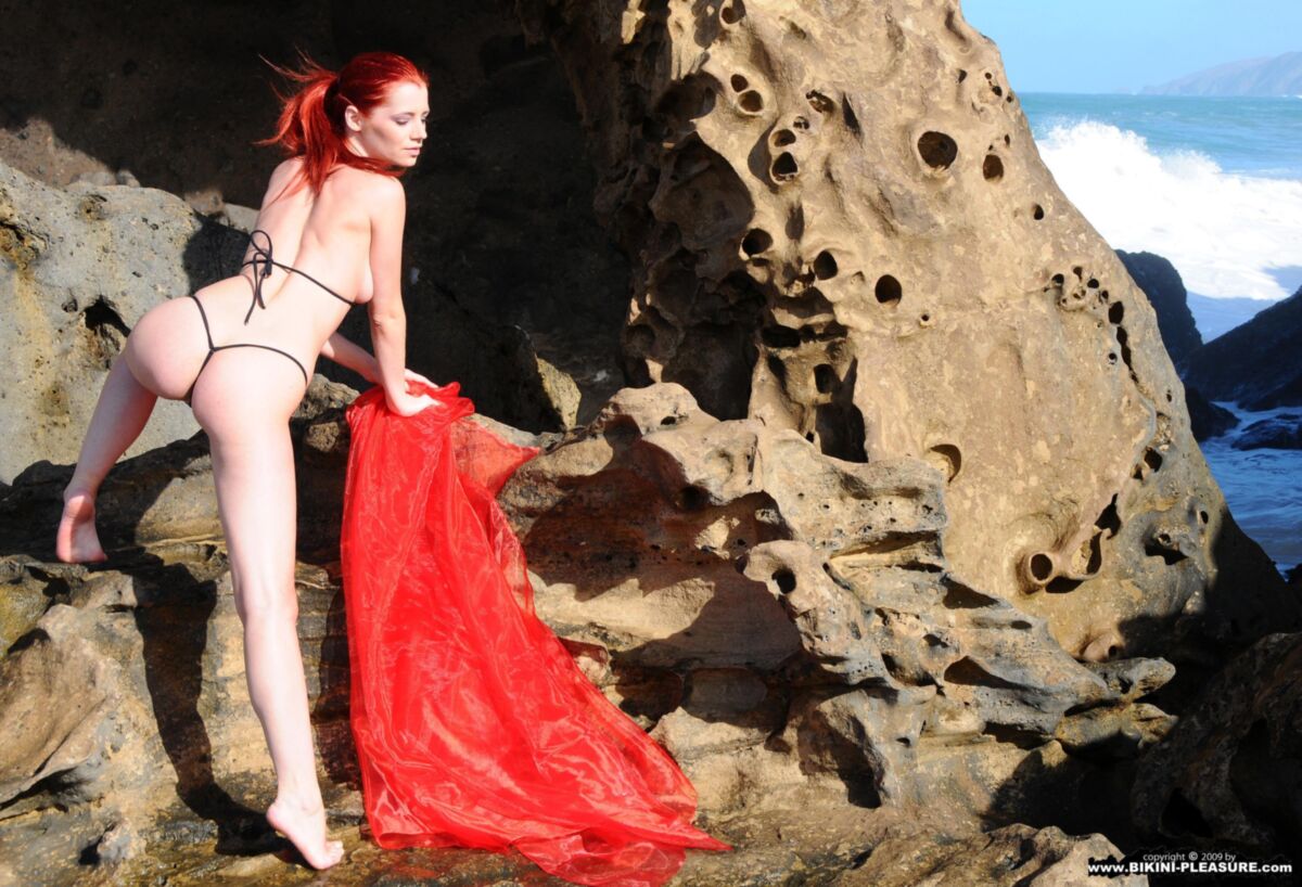 Encantadores pelirrojos Ariel Red on Rock
