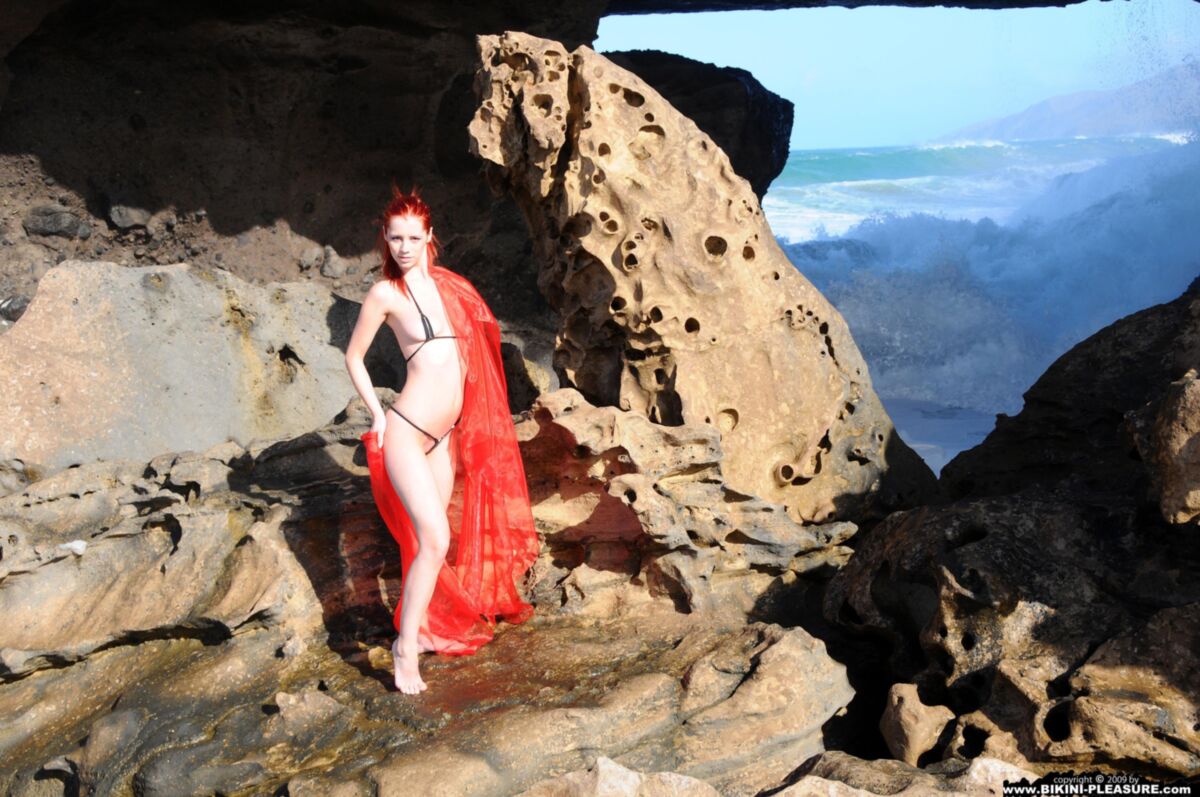Encantadores pelirrojos Ariel Red on Rock