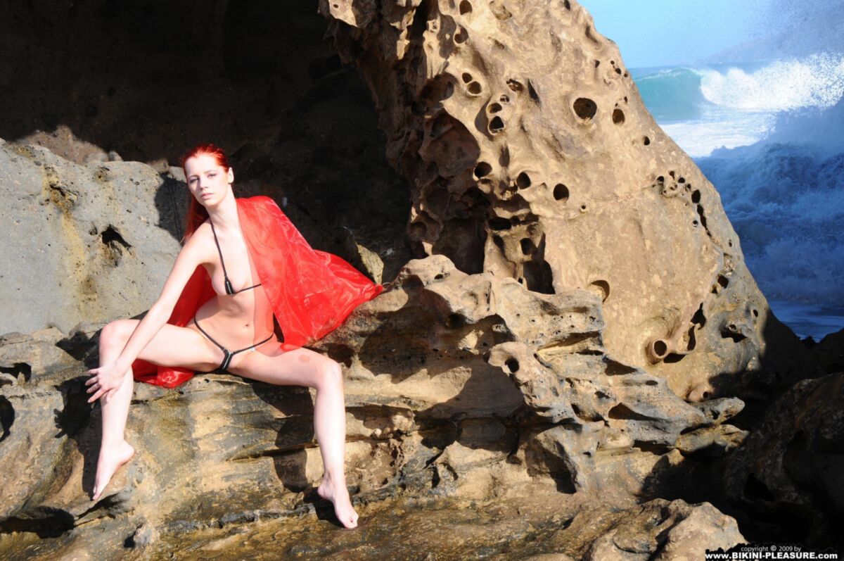 Encantadores pelirrojos Ariel Red on Rock