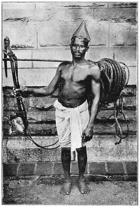 Castes and Tribes of Southern India