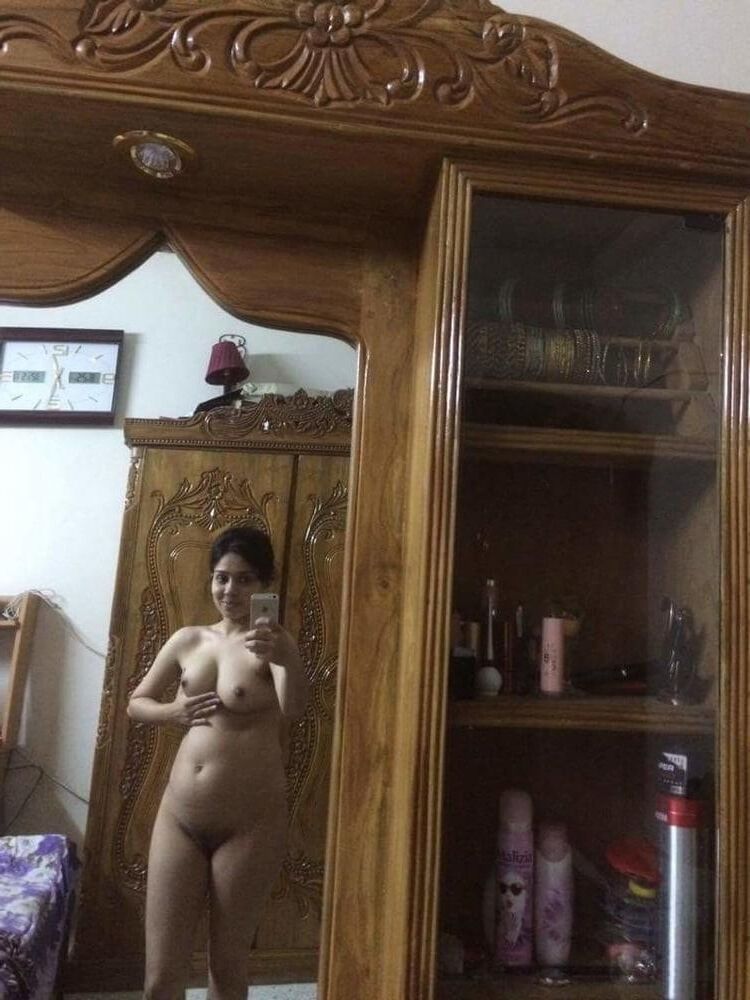 かわいいデジインディアンおばさん