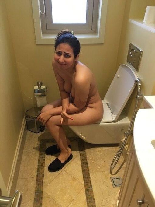 新婚旅行のインドの妻