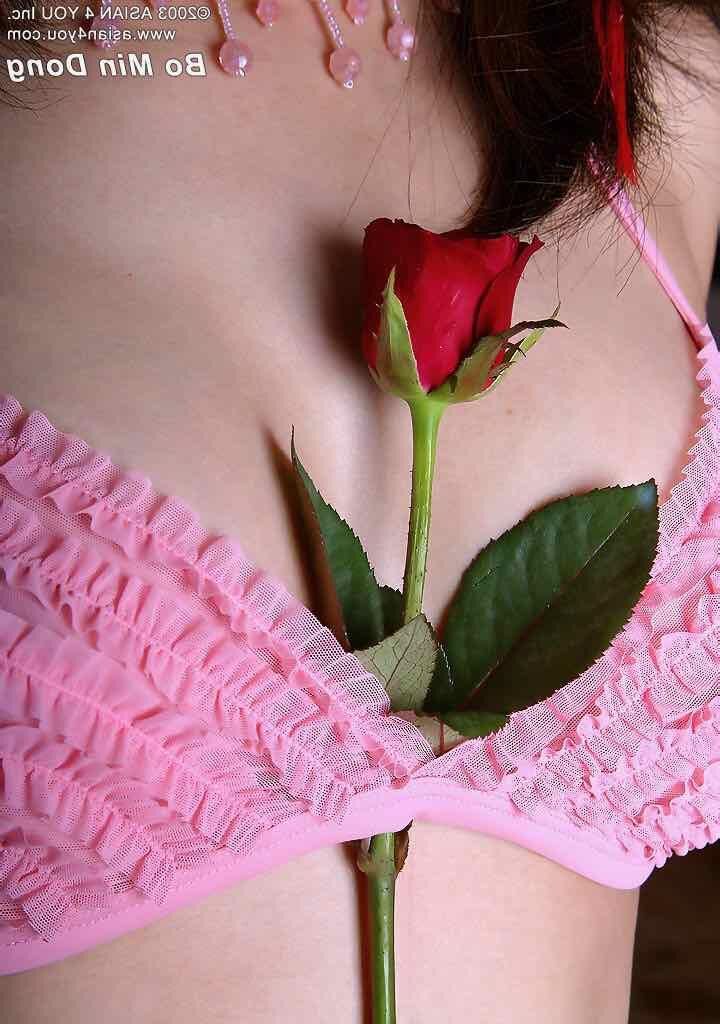 Asianyou Bo min Dong uma rosa para mim