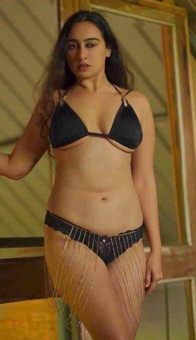Hardcore and Softcore (Desi Indian Aunties and MILF) 