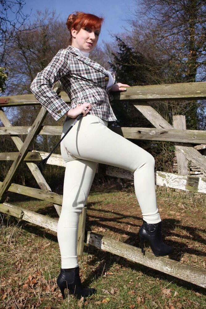 Tally Ho