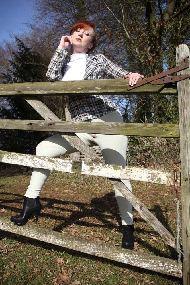 Tally Ho